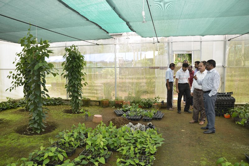 Pre-rabi Awareness (10).JPG